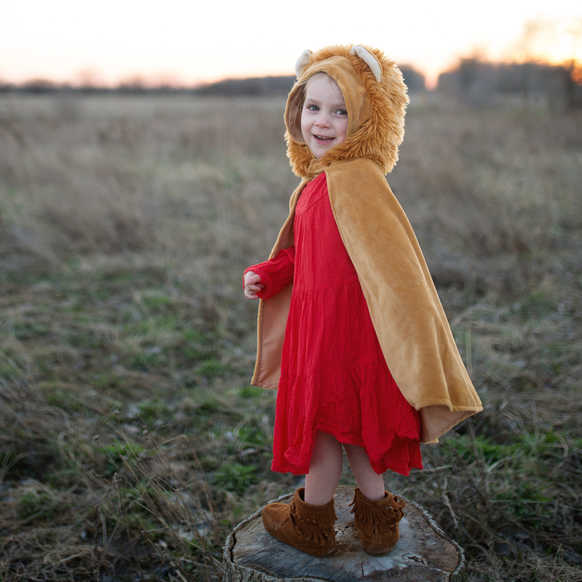 Baby mantello leone, Giochi di immaginazione, Costumi e travestimenti, Giochi per Bambini e Ragazzi