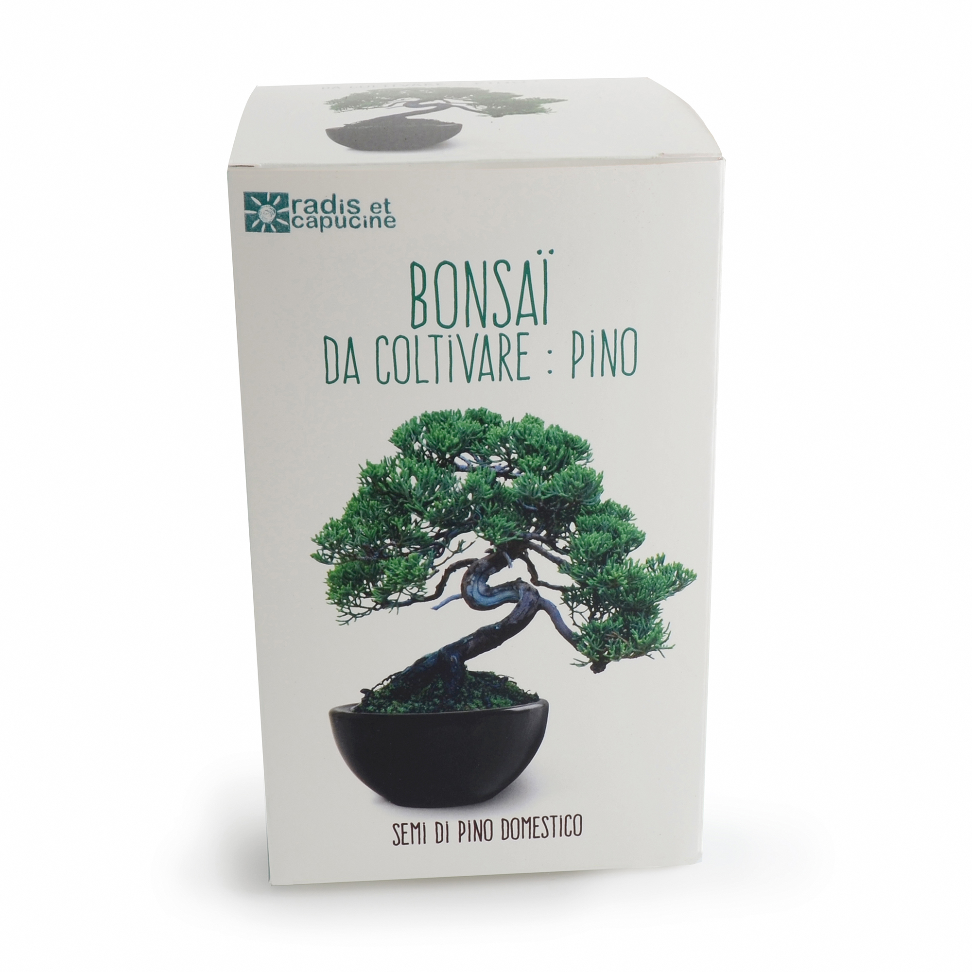 Plant in a Box - Bonsai con sistema idrico di facile manutenzione