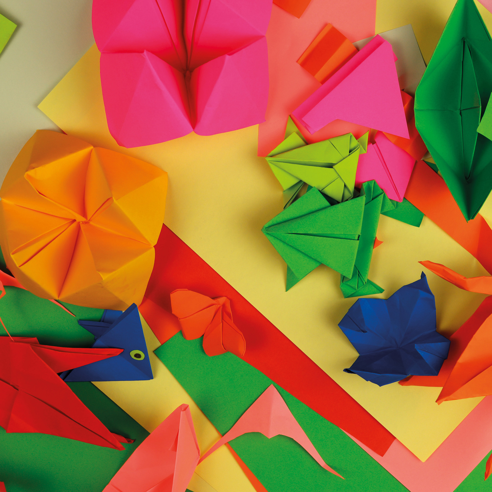 Introduzione all'origami. 21 progetti infallibili, Libri di attività, Libri  per Bambini e Ragazzi